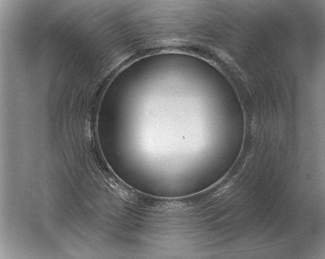 X0000061731209200512161613