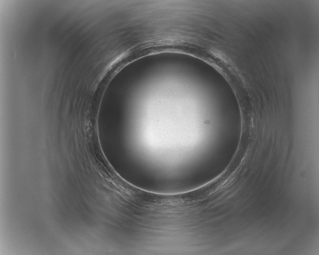 X0000061731210200512161613