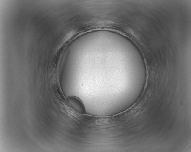 X0000061731211200512161613