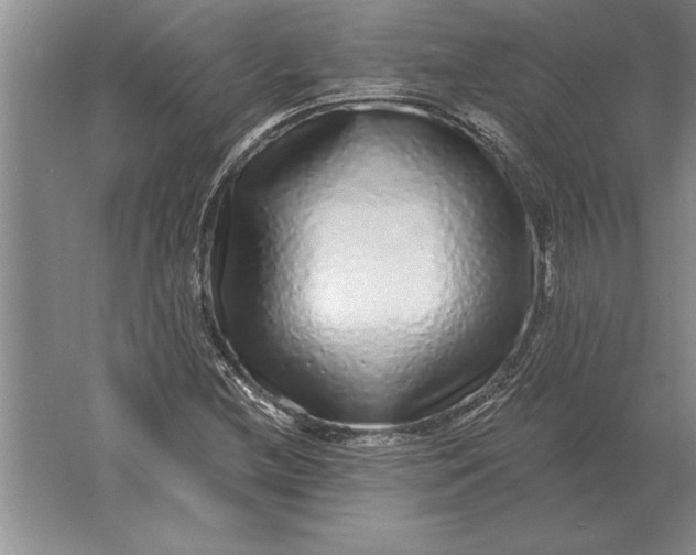 X0000061731212200512161613