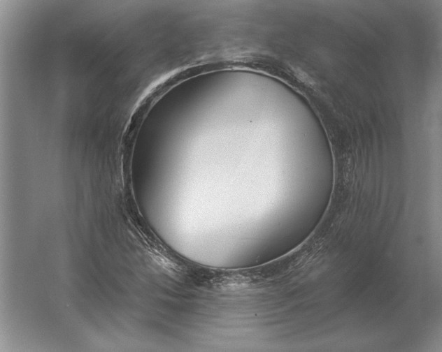 X0000061731214200512161613