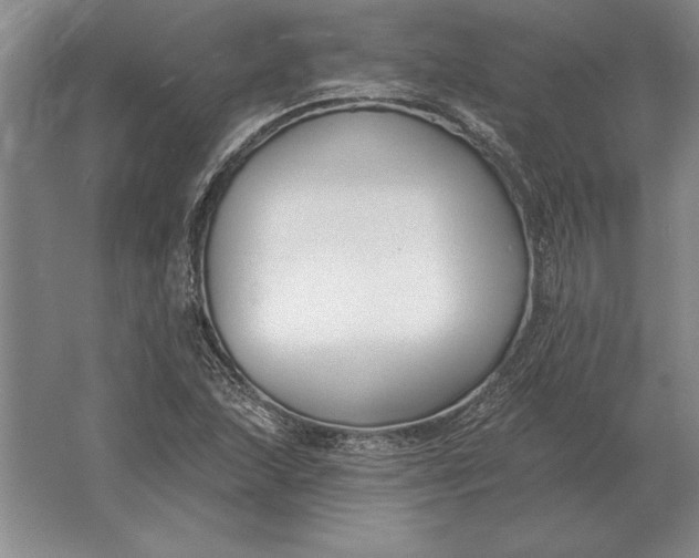 X0000061731215200512161613