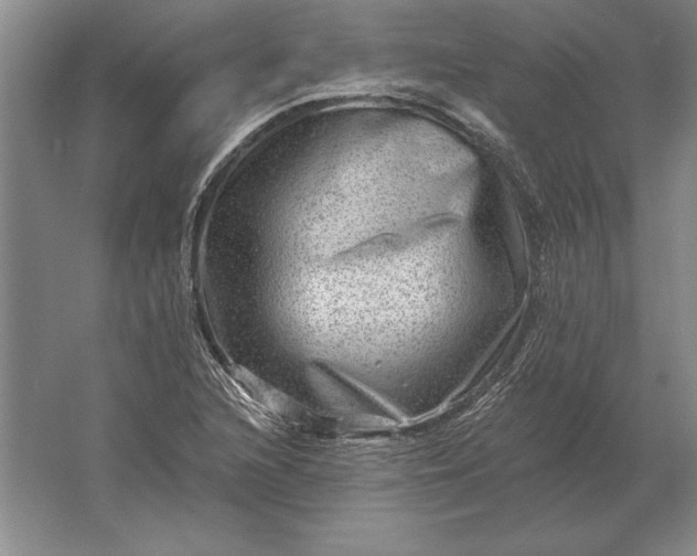 X0000061731216200512161613