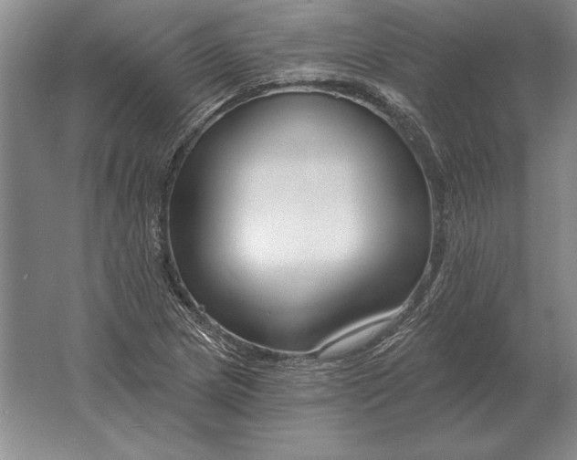 X0000061731217200512161613