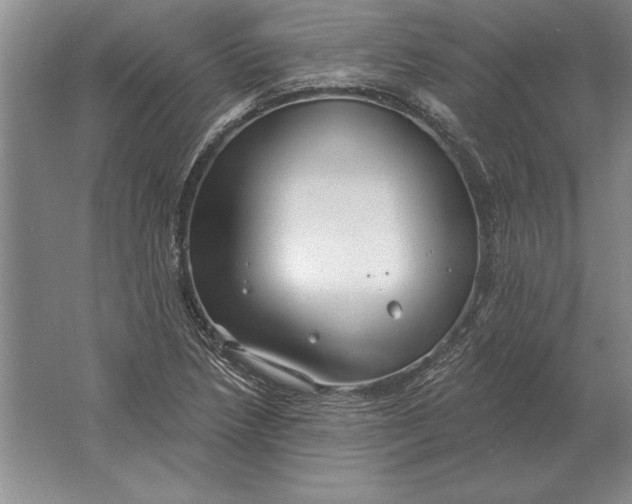 X0000061731218200512161613