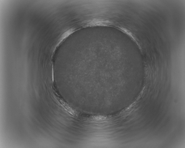 X0000061731219200512161613