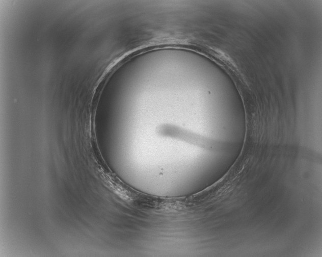 X0000061731220200512161613