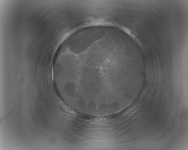 X0000061731221200512161613