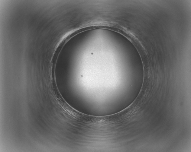 X0000061731222200512161613