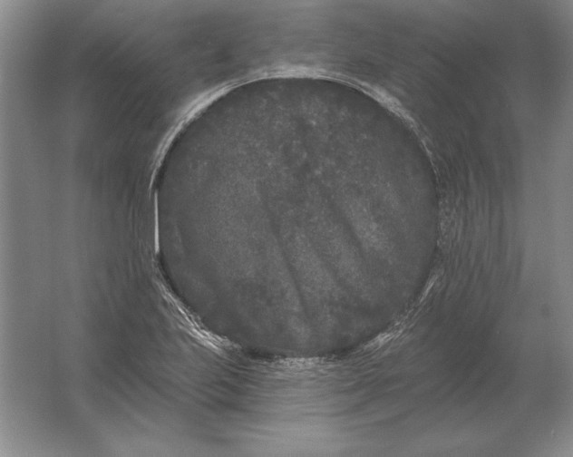 X0000061731223200512161613