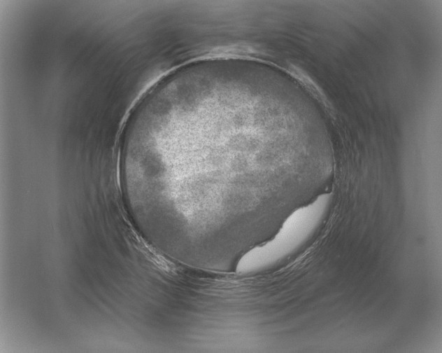 X0000061731224200512161613