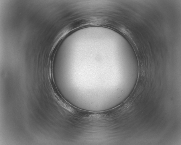 X0000061731227200512161613