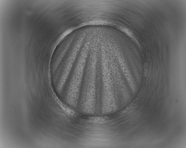 X0000061731229200512161613