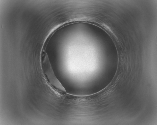 X0000061731230200512161613