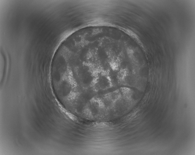 X0000061731231200512161613