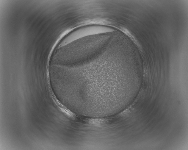 X0000061731232200512161613