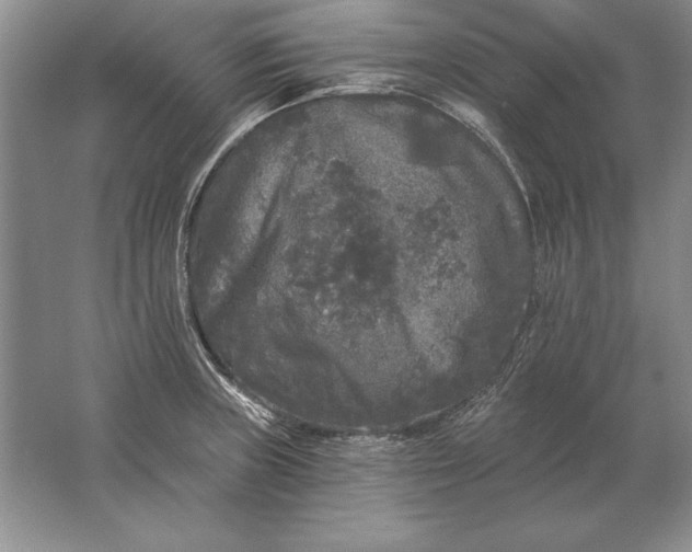 X0000061731235200512161613