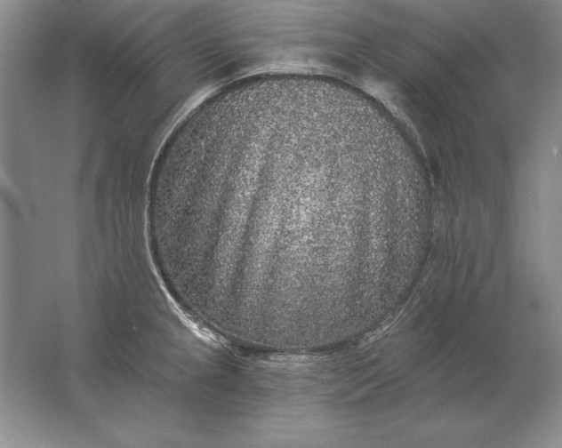 X0000061731237200512161613