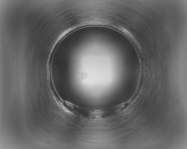 X0000061731238200512161613