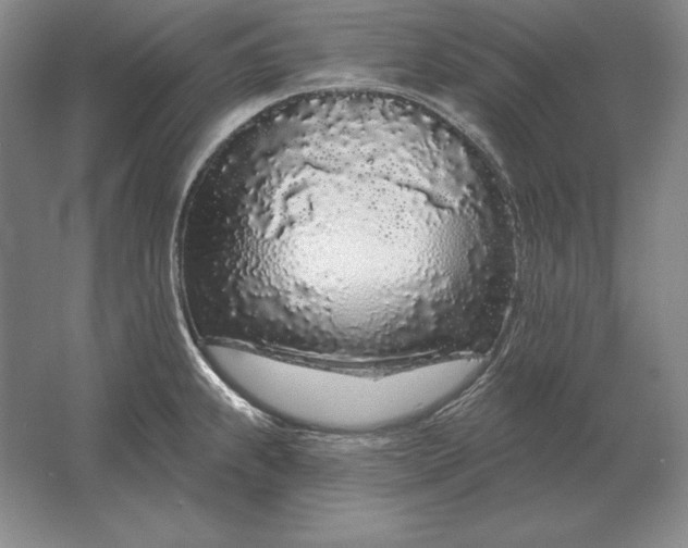 X0000061731239200512161613