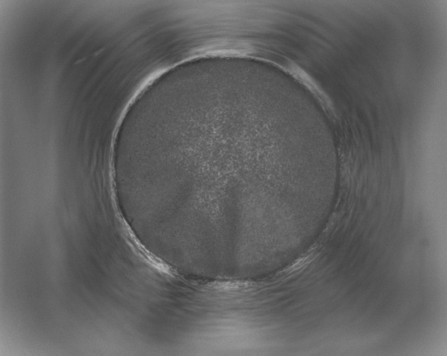 X0000061731240200512161613