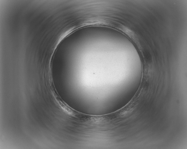 X0000061731242200512161613