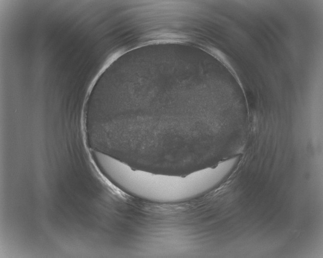 X0000061731243200512161613