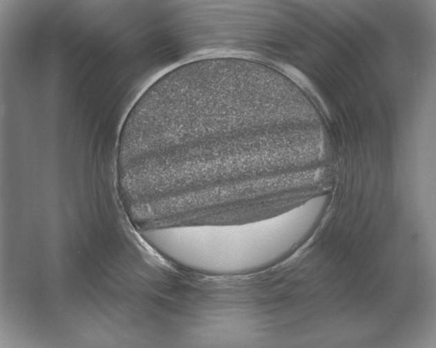 X0000061731244200512161613