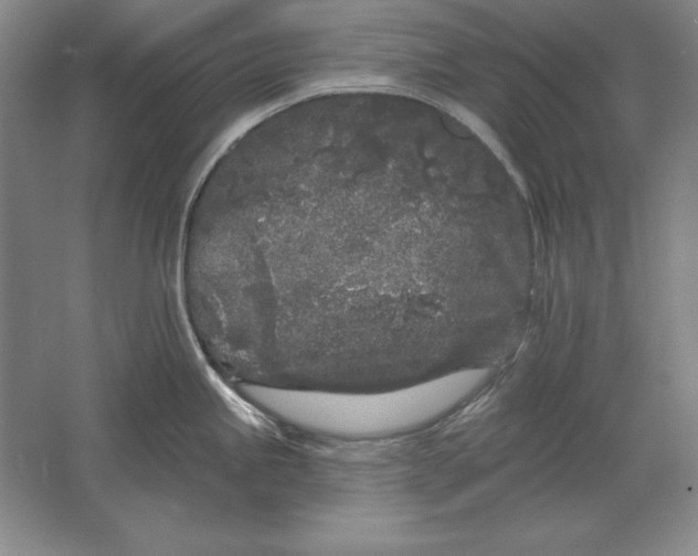 X0000061731245200512161613