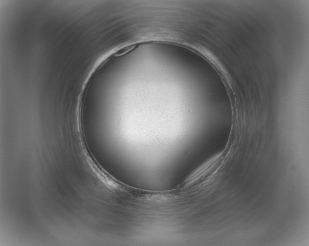 X0000061731246200512161613