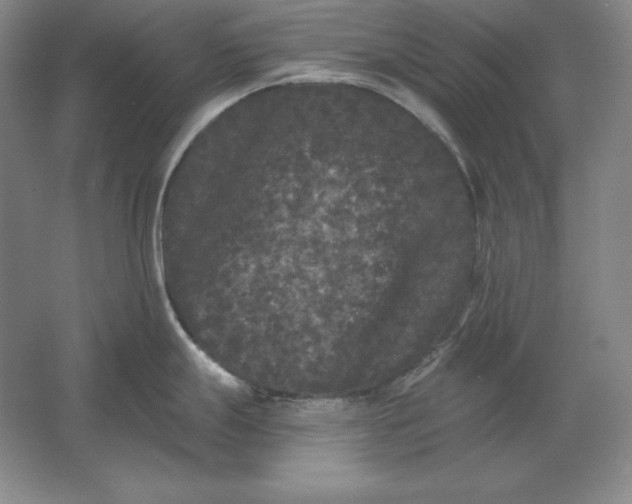 X0000061731247200512161613