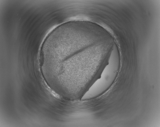 X0000061731248200512161614