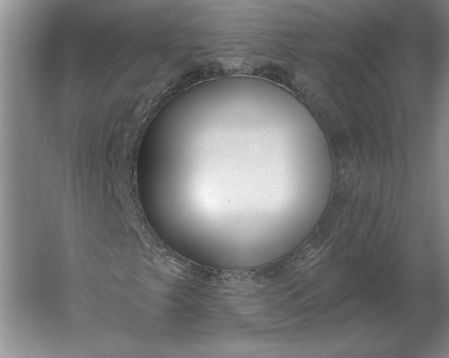 X0000061731249200512161613