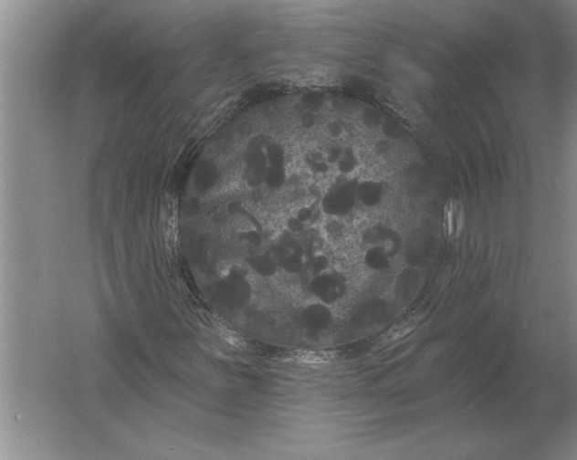 X0000061731251200512161613