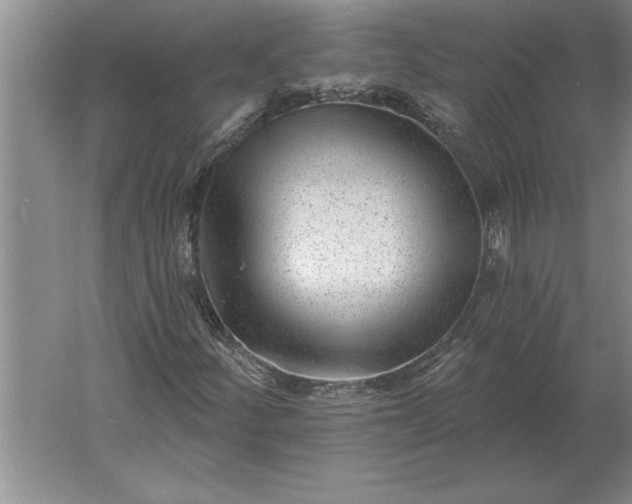 X0000061731252200512161613