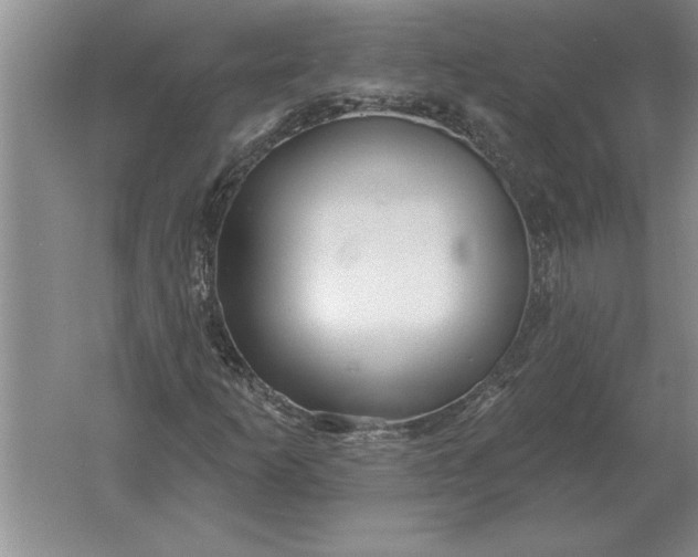 X0000061731253200512161613