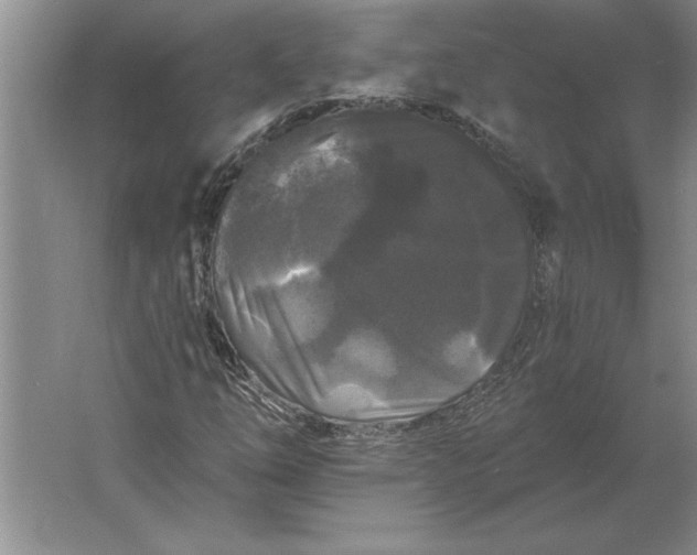 X0000061731254200512161613