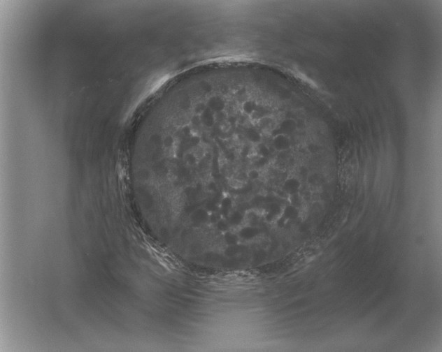 X0000061731255200512161613