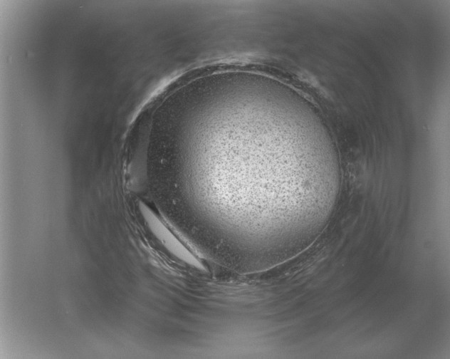 X0000061731256200512161613