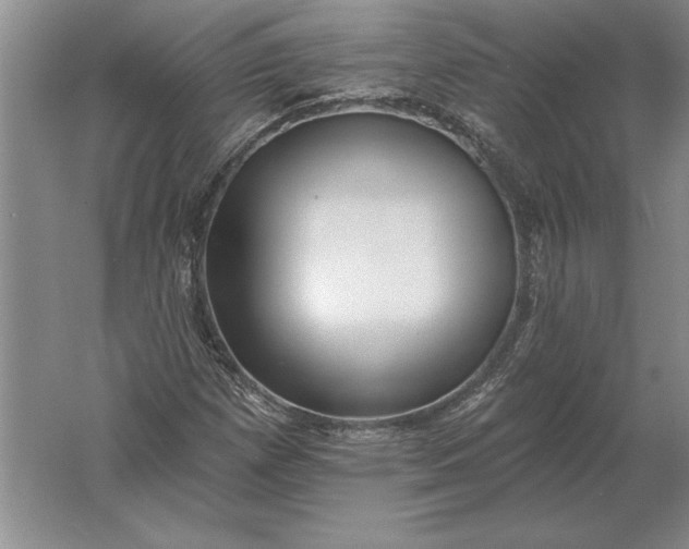 X0000061731257200512161613