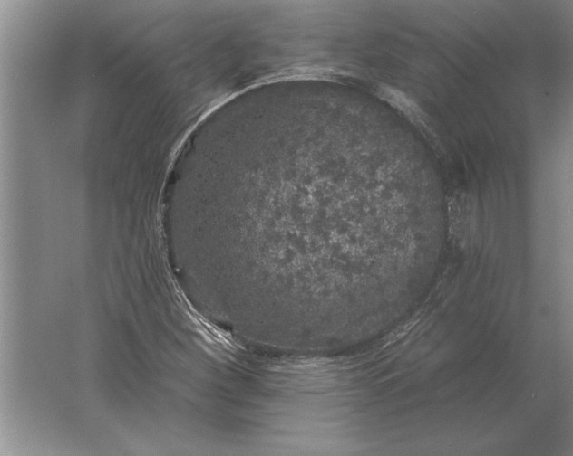 X0000061731260200512161612