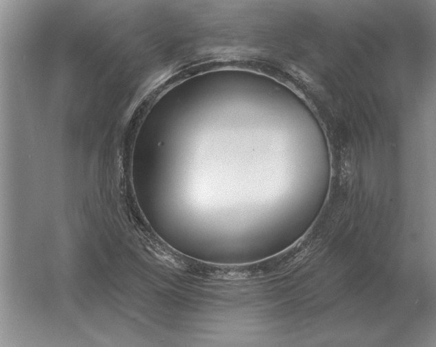 X0000061731261200512161612