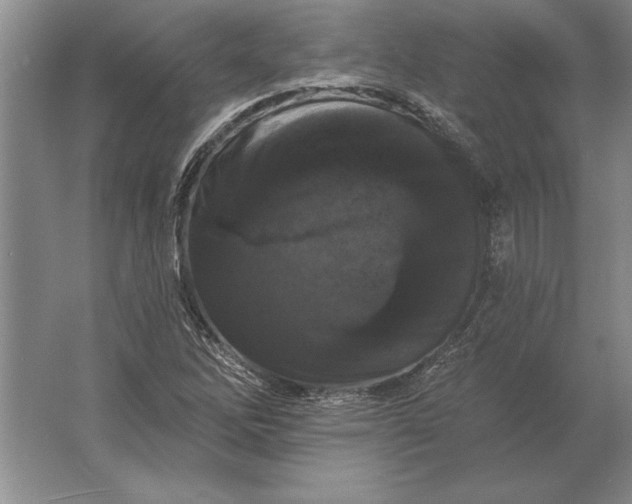 X0000061731262200512161612