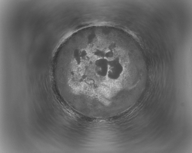 X0000061731263200512161612