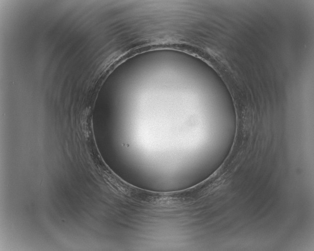 X0000061731265200512161612