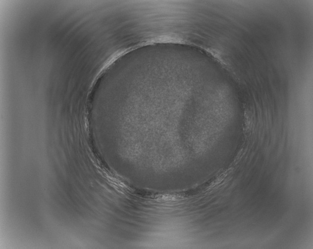 X0000061731266200512161612