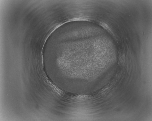 X0000061731268200512161612