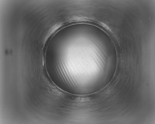 X0000061731269200512161612