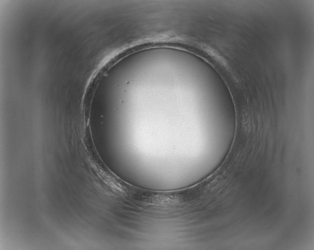 X0000061731270200512161612