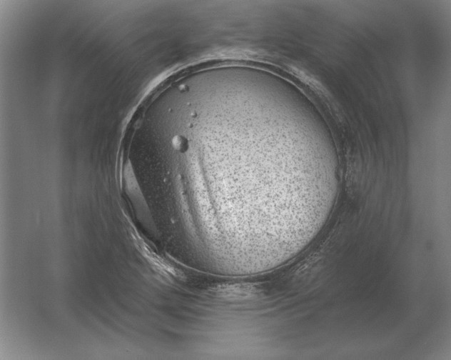 X0000061731272200512161612